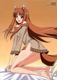 BUY NEW spice and wolf - 167251 Premium Anime Print Poster